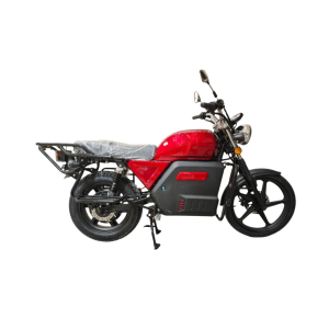 Electric Motorcycles