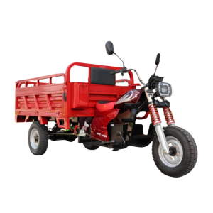 ELECTRIC TRICYCLE -Trio16s