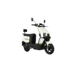 Electric Scooters
