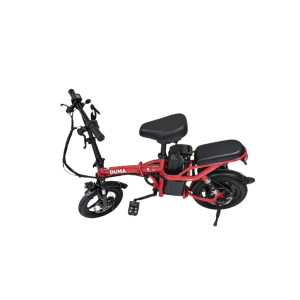 Electric Bicycles